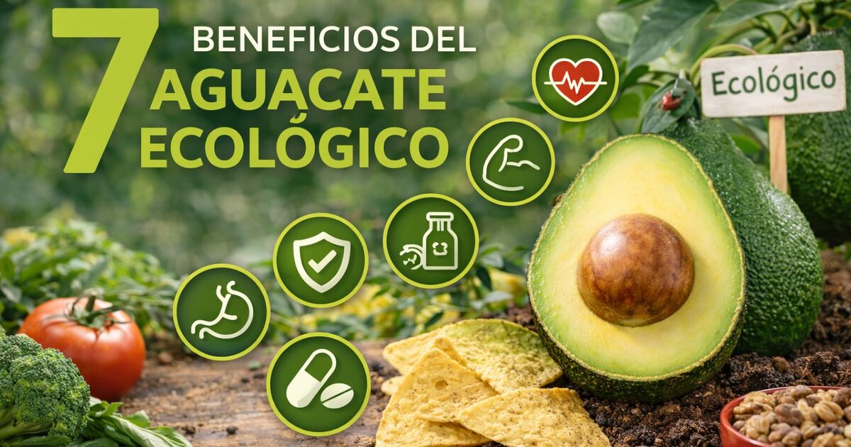 7 beneficios del aguacate ecológico para la salud — iconos de nutrición y aguacate Hass